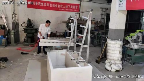 小川鱼菜一体池 免固化 绿植墙 带过滤 家用活鱼保鲜库 蔬菜工厂