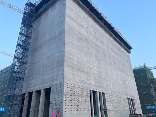 守护大国粮仓 中建一局三公司北京分公司德州中粮小麦加工项目二标段全面封顶