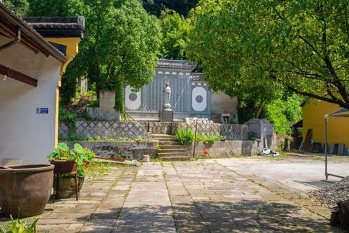 一墙隔出三寺,临平超山村的这个奇葩景象,本地人是见怪不怪了吗