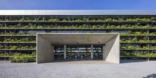 植物墙建筑 jakob 工厂