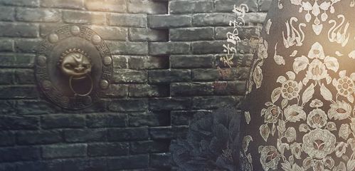天下乐令-