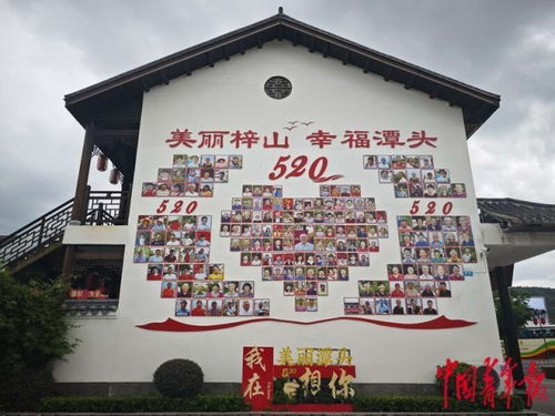 一位村支书的三件事
