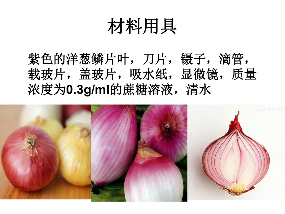 实验观察植物细胞的质壁分离与复原